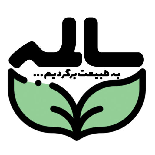 سالمه