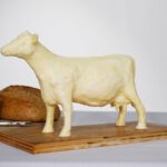 مقایسه روغن حیوانی و کره های معمولی